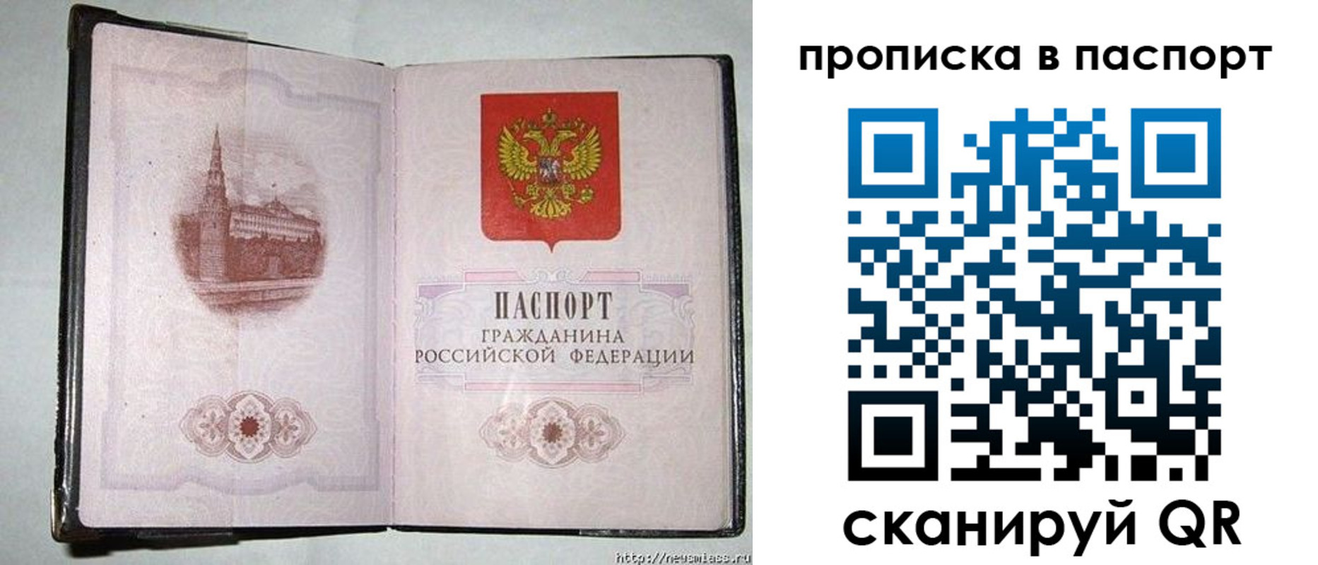 прописка штамп в Луге
